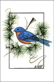 Bluebird