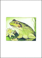 Bullfrog