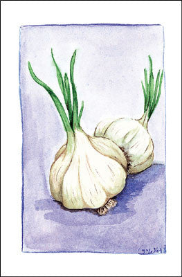 Garlic