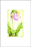 Jim's Lady Slipper