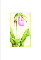 Jim's Lady Slipper