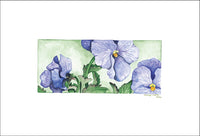 Purple Pansies