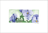 Purple Pansies