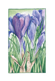 Purple Collection