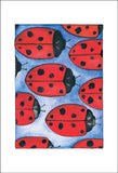 Ladybugs