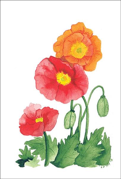 Poppies