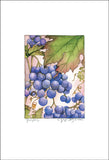 Fruit Collection