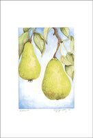 Fruit Collection