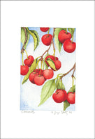Fruit Collection