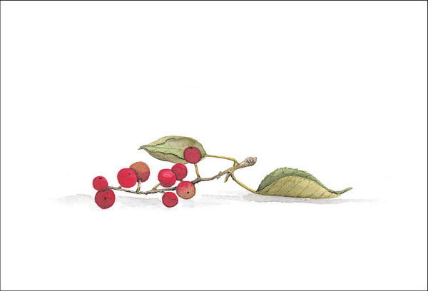 Berries and Leaves