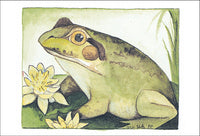 Bullfrog