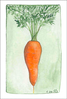 Carrot