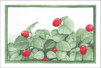Partridge Berry