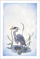 Heron in Water