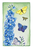 Butterfly Collection