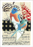 Western Bluebird<br>by Liz Cohn
