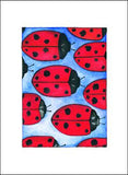 Ladybugs