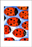 Ladybugs