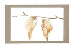 Leaves