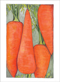 Bunch Carrots