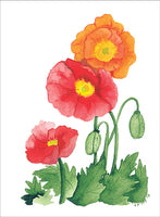 Poppies