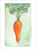 Carrot