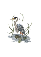 Heron in Water