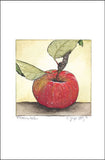 Macintosh