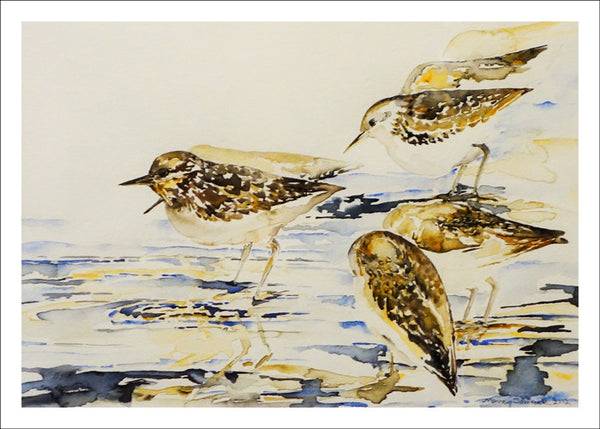 Sandpipers at Oakledge Park by Nancy Tomczak