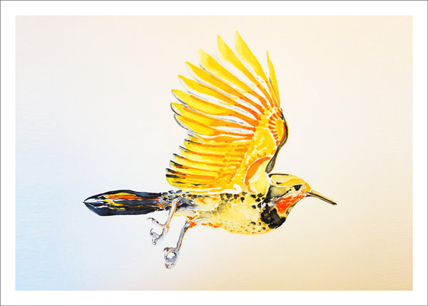 Flying Flicker by Nancy Tomczak