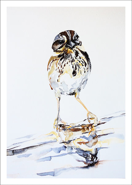 Sparrow by Nancy Tomczak
