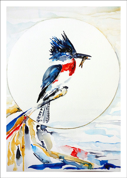 Kingfisher by Nancy Tomczak