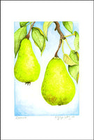 Pear Branch