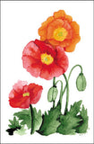 Poppies
