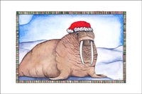 Walrus