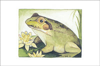 Bullfrog