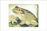 Bullfrog