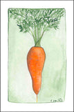 Carrot