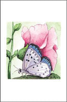 Spotted Butterfly