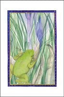 Frog by the Creek
