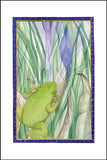 Frog by the Creek