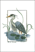 Heron in Water