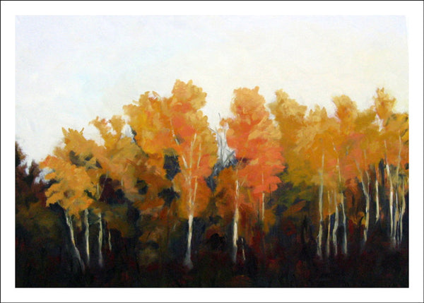 Sunset Birches, Shrine Road by Susan Larkin