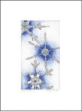 Snow Crystals