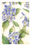 Grateful Blue Hydrangeas