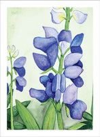 Grateful Lupines