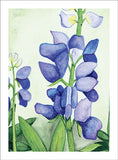 Grateful Lupines